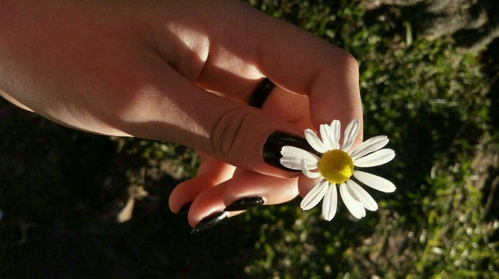 بهار