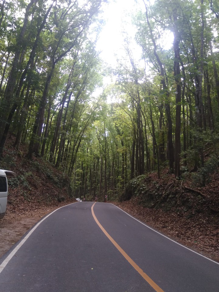 #road