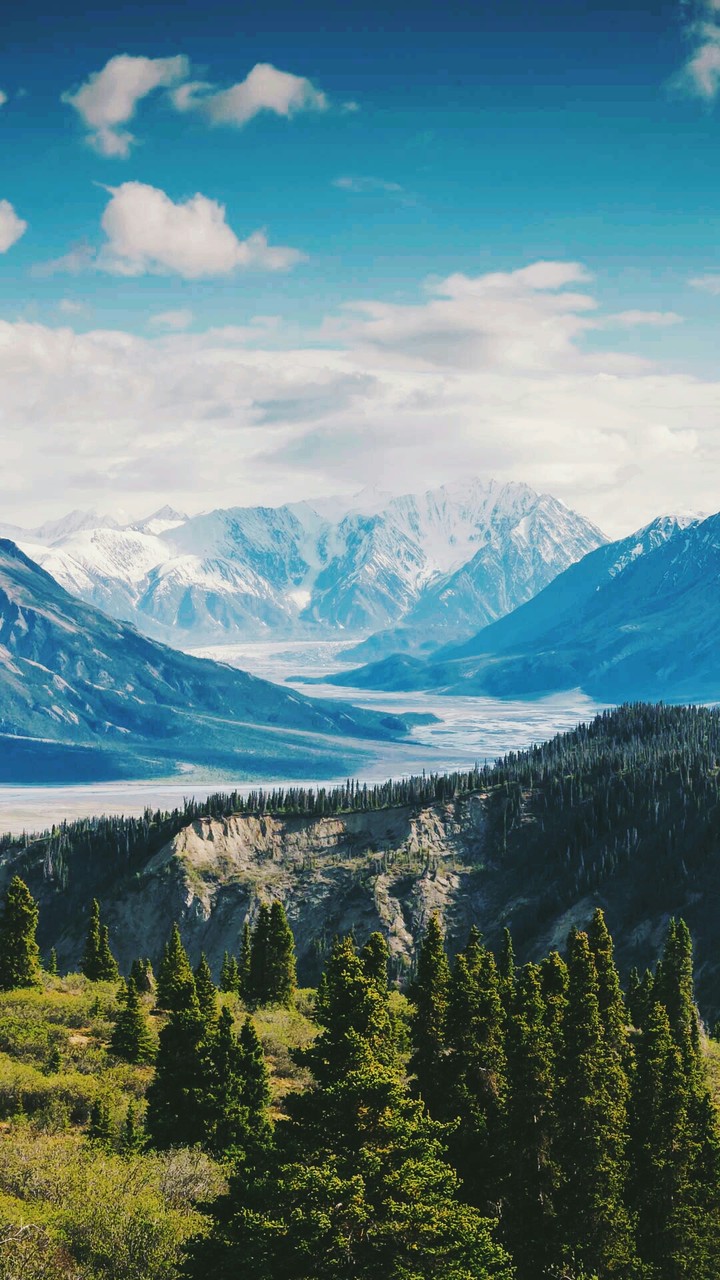 neturu