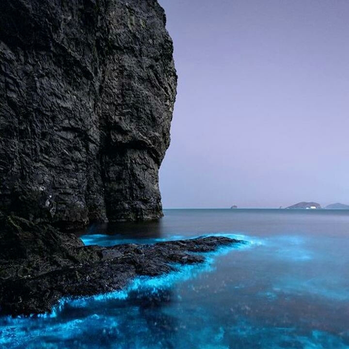 Ｓモ丹   Ｓ卄口尺モ
