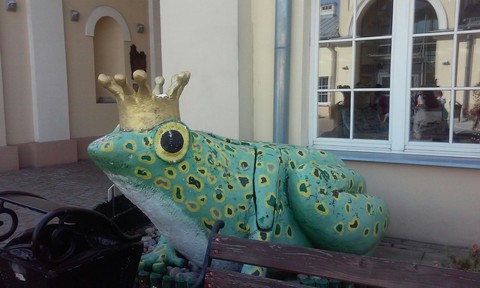 King frog