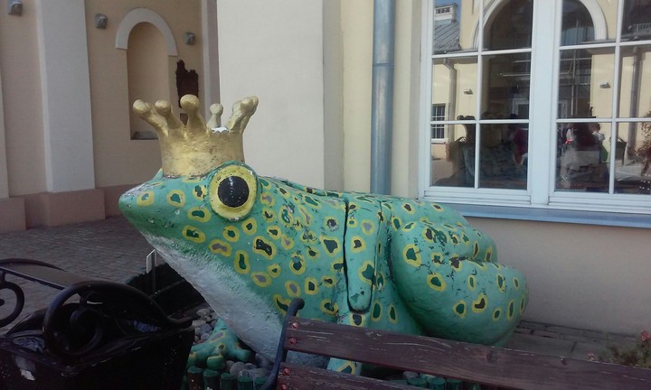 King frog