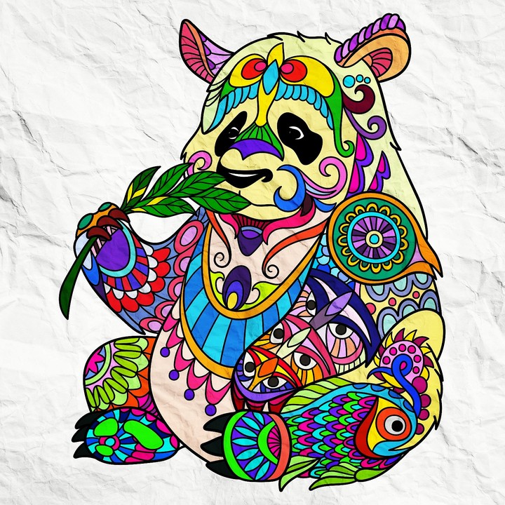 colourful Panda