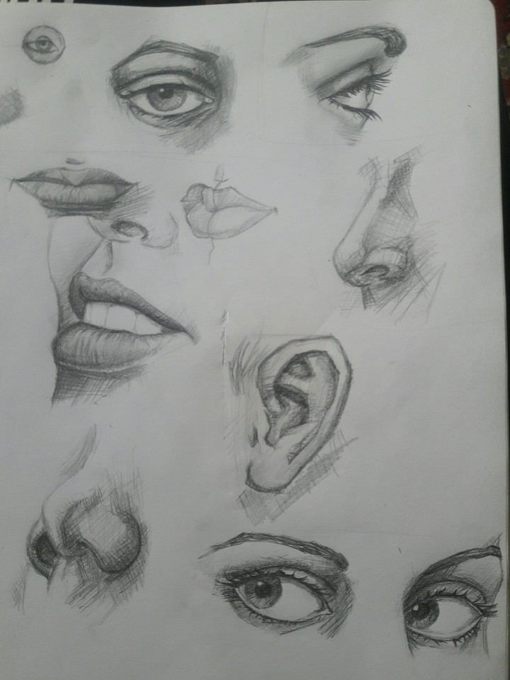 ART/DRAW
