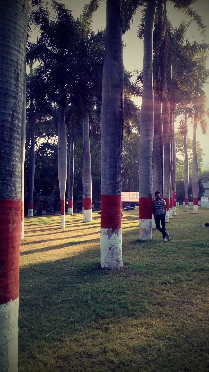 Lonelyness....with Sunrays......