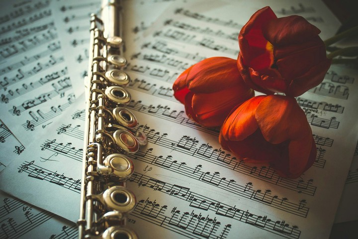 music and tulip
