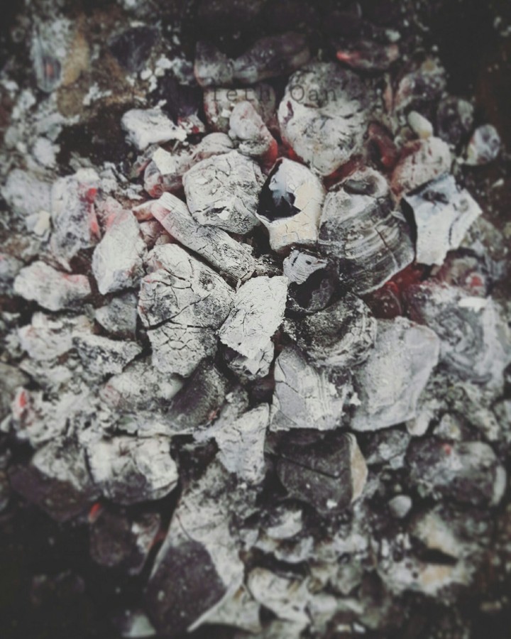 Winter embers 
