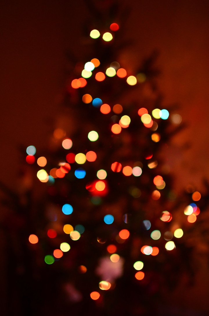 Another Christmas lights