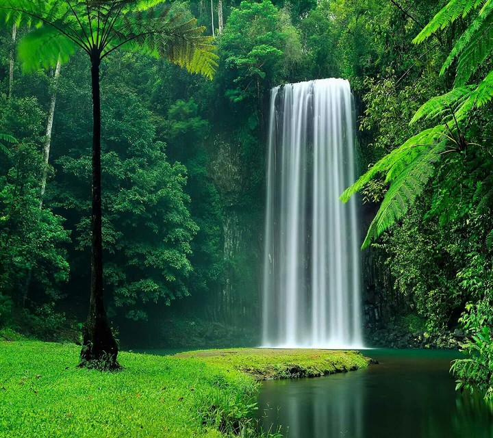Weterfall