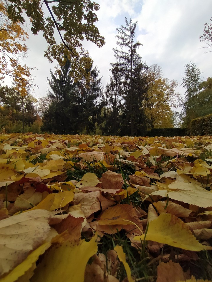 осенняя природа