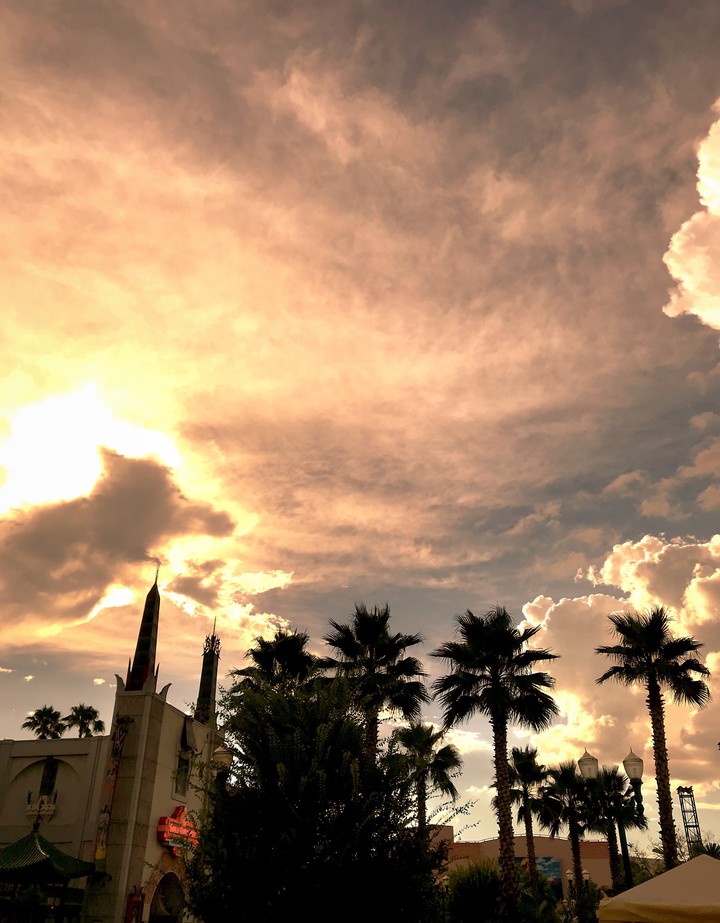 Disney Sunset