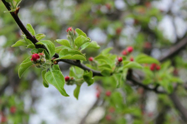 May
