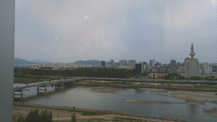 도심