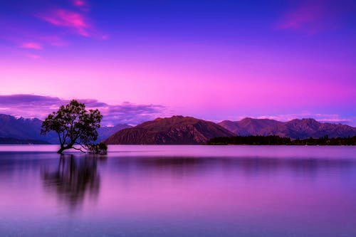 nature