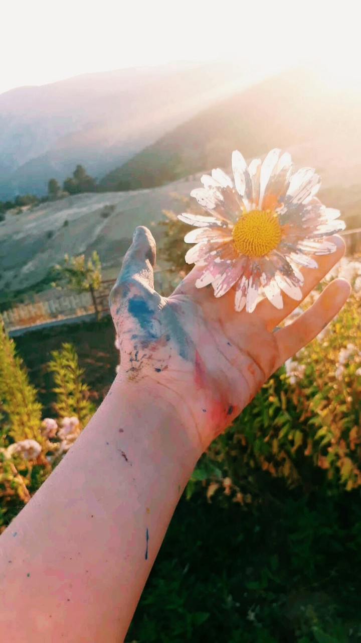 summer