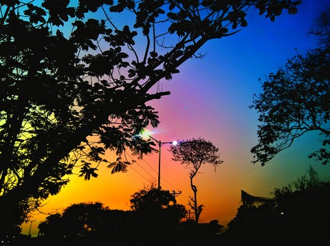 Twilight