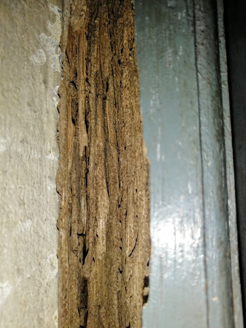 wood