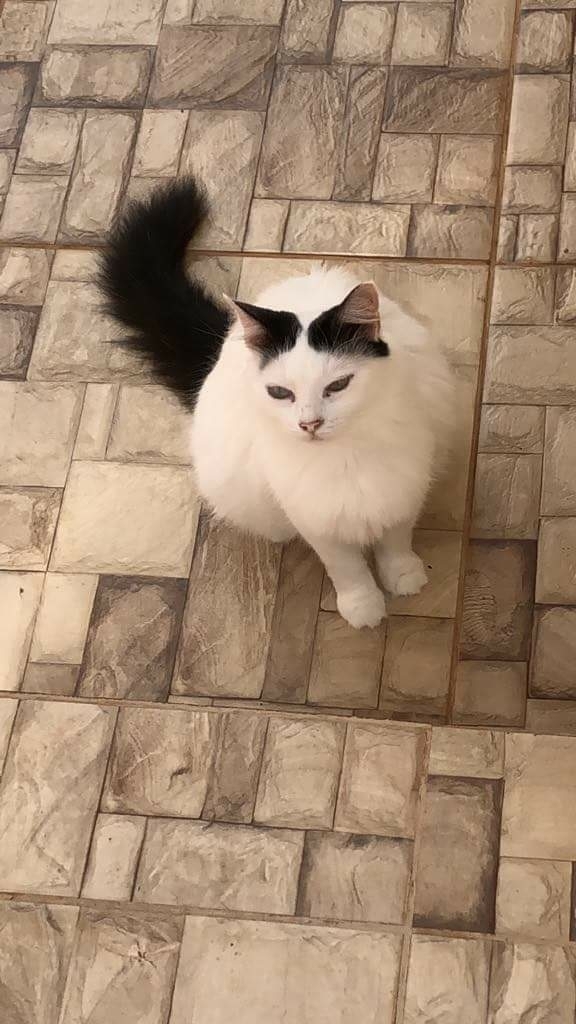 ♥️