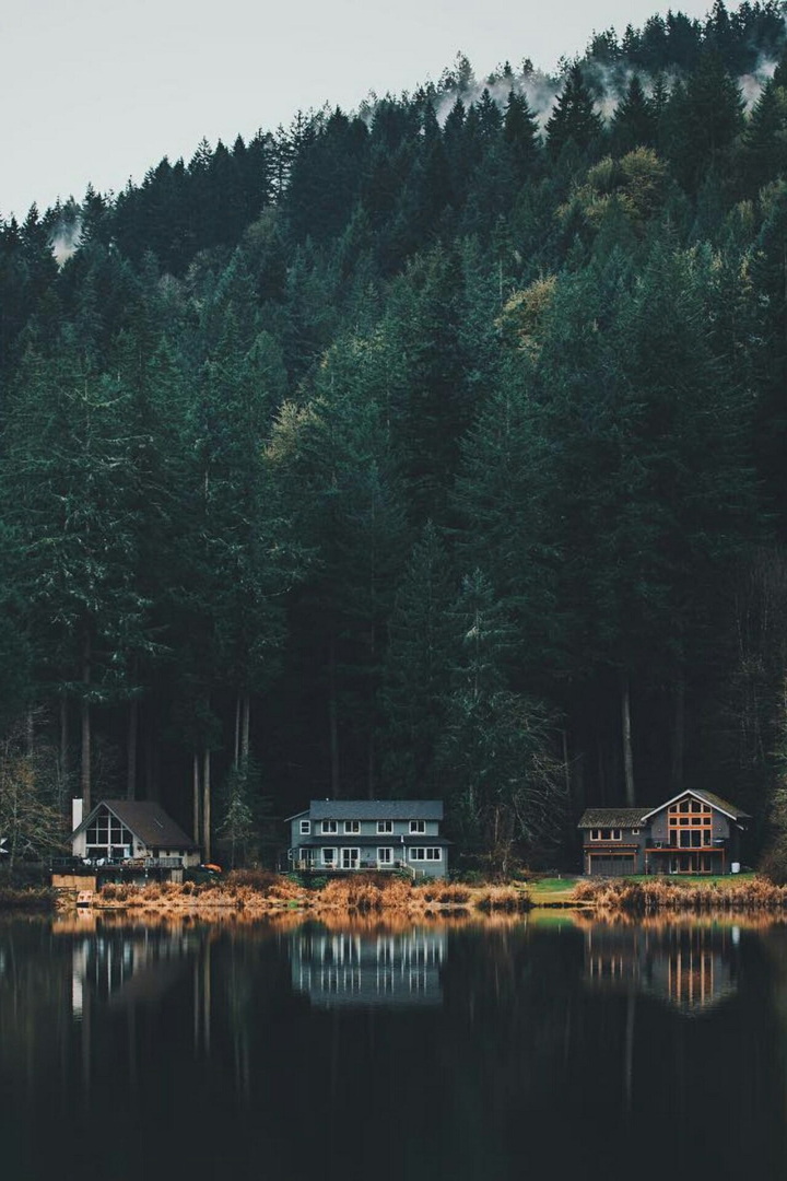 Building on End of Forest #Wall_9