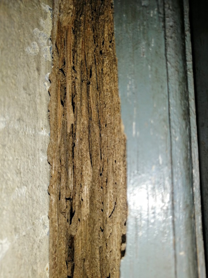 wood