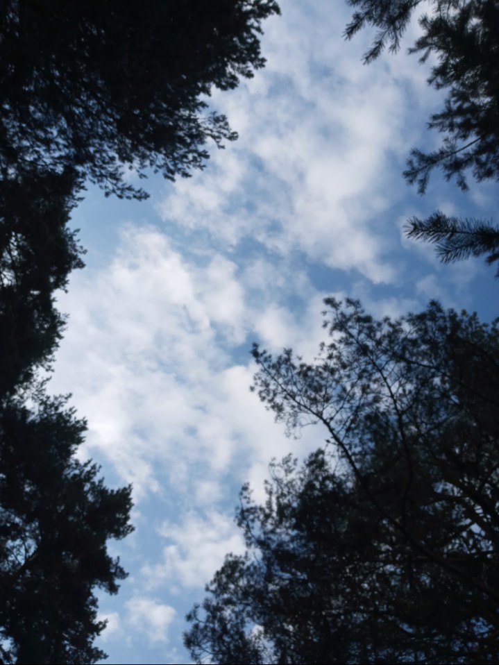 Look at the sky when it's brightest