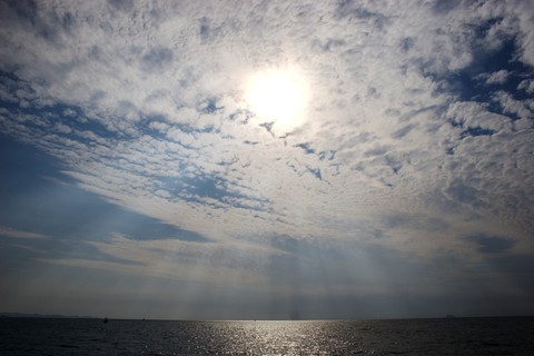 Scenics