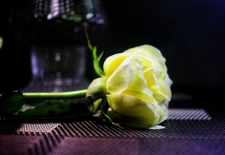 Glowing beauty...
