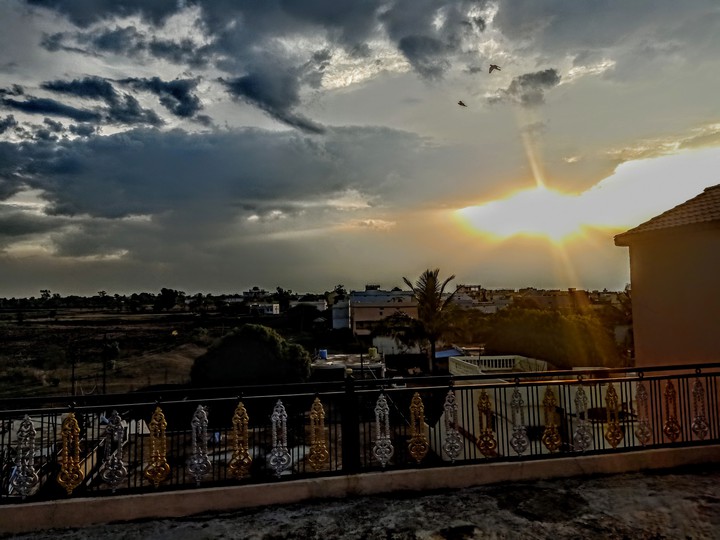 My Photography. .