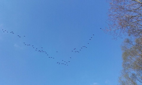 sky