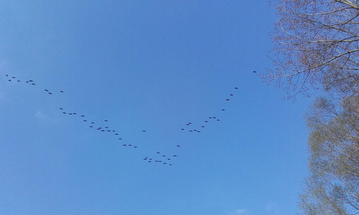 sky
