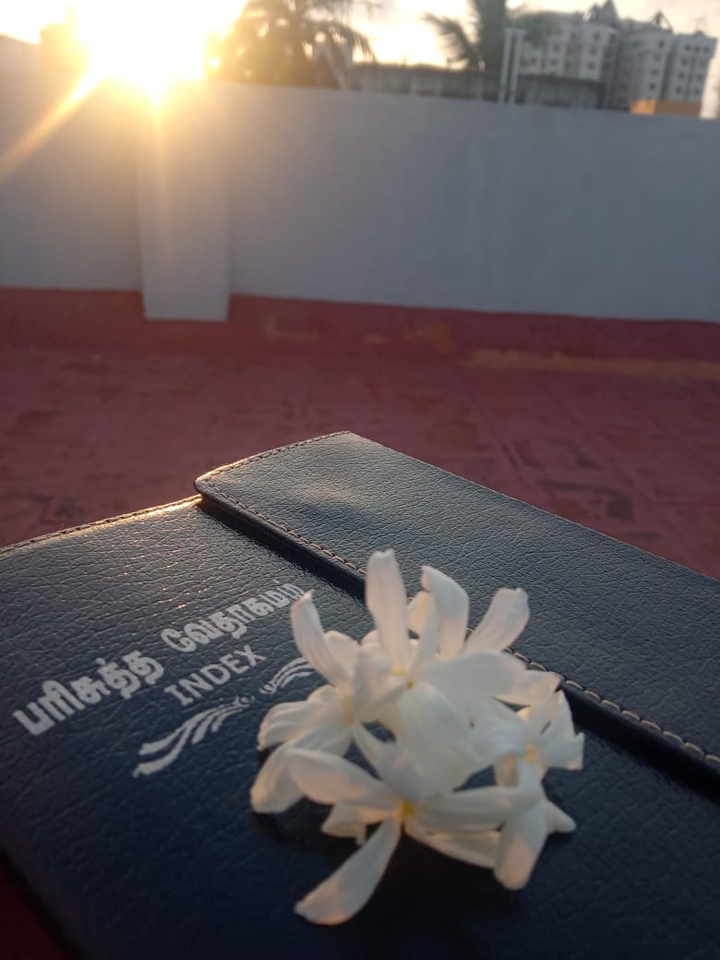 bible
