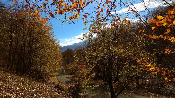 Autumn