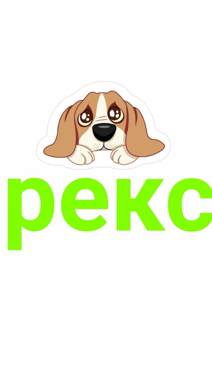 рекс