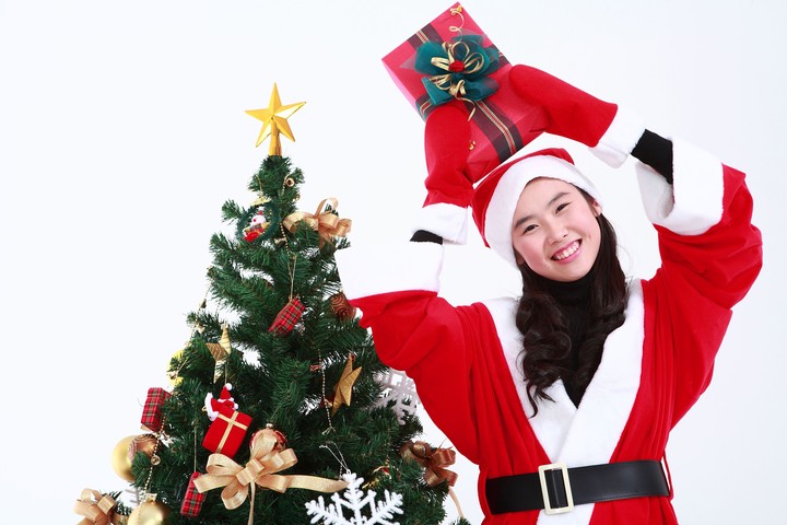 Christmas Costume