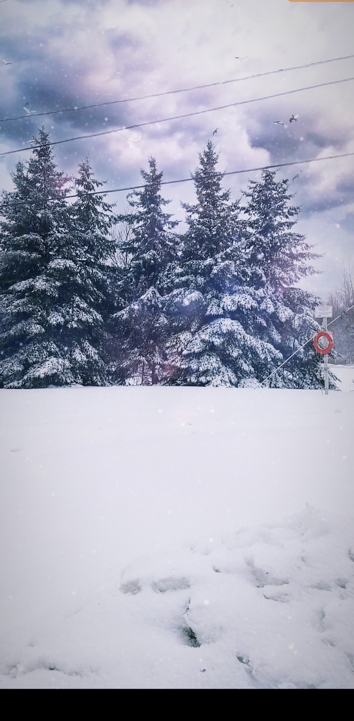 snow