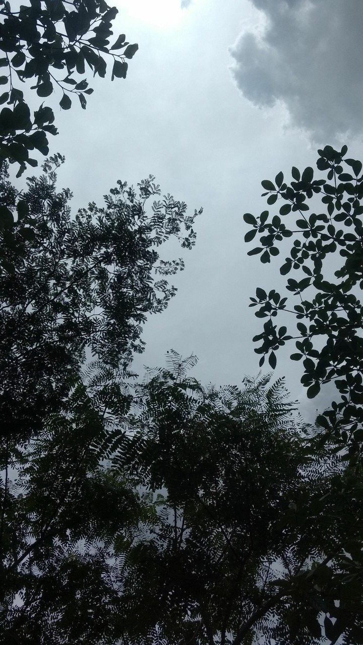 Em algum lugar no Brasil