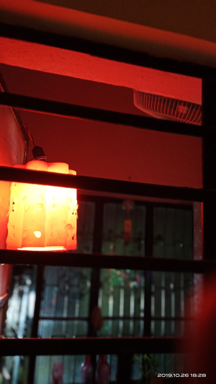 lights love
