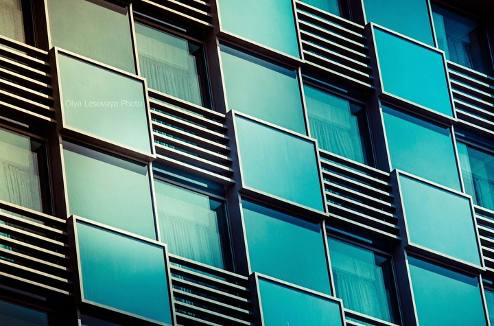 Window of the life