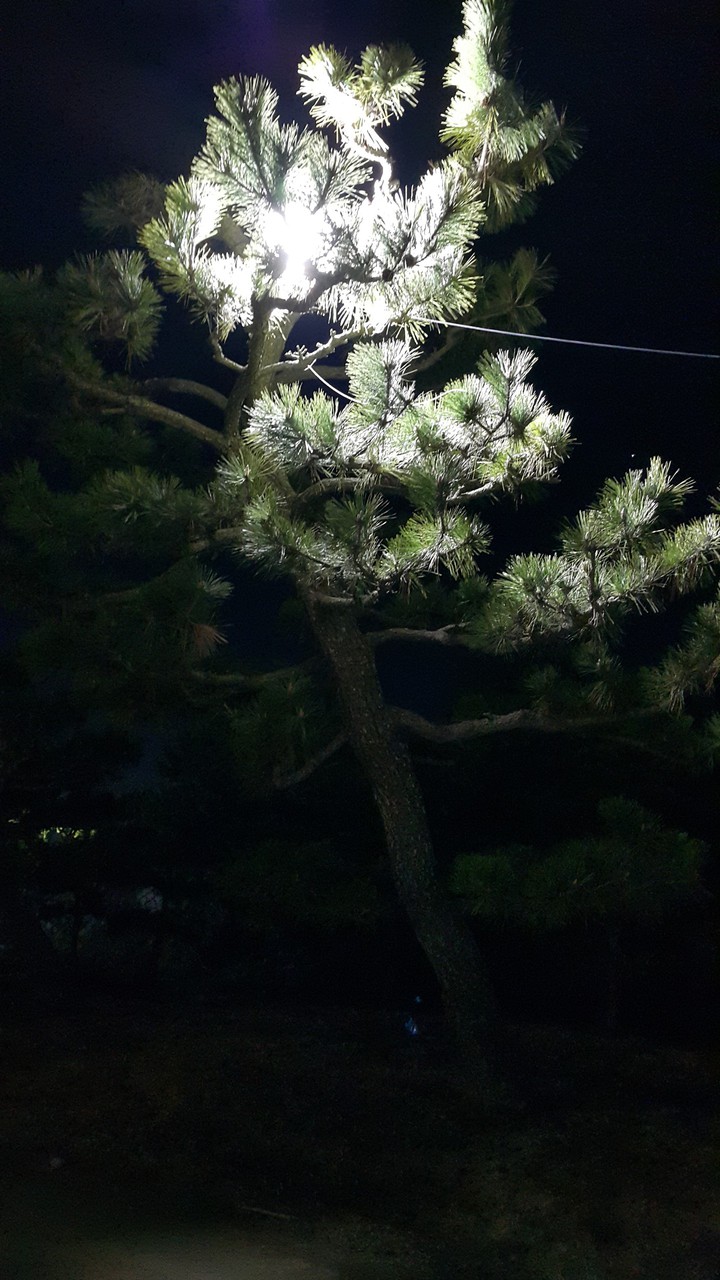 야경