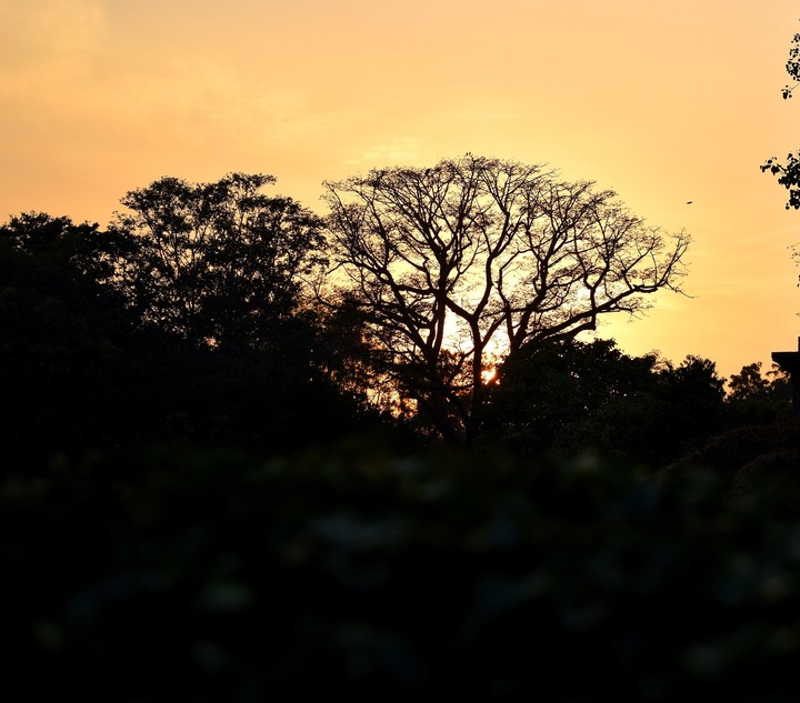 Light is easy to love. Love some darkness...