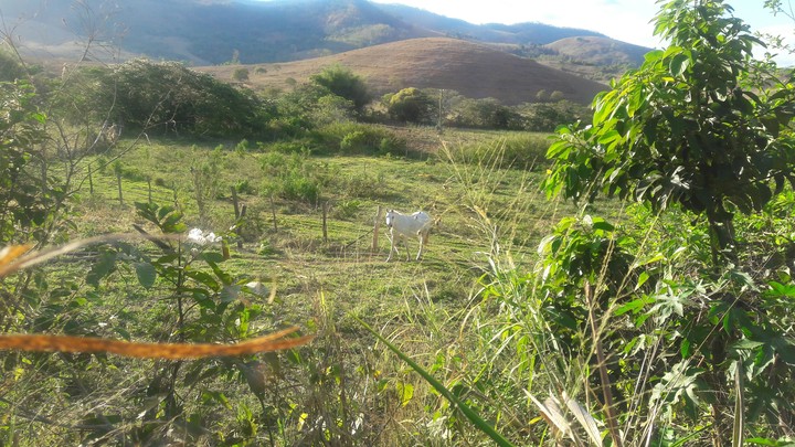 Natureza