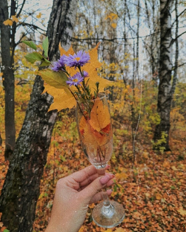 осень