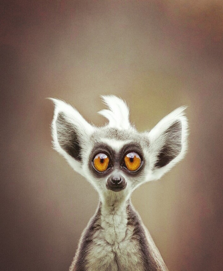 this is eyes