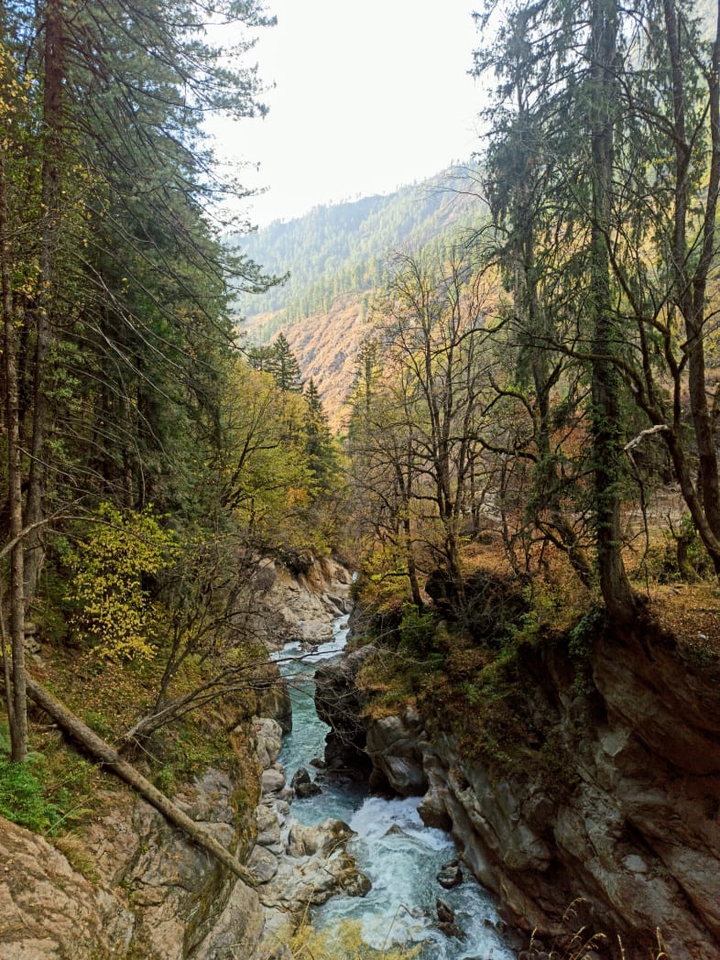 nature