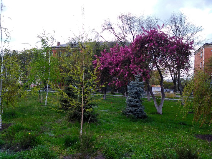 Spring