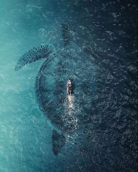 sea