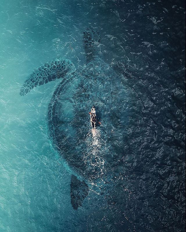 sea