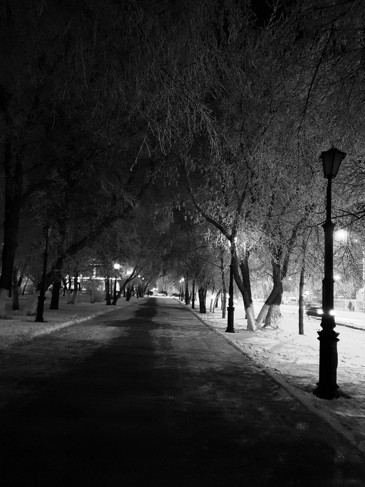 Winter