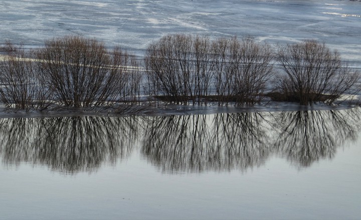 Reflection