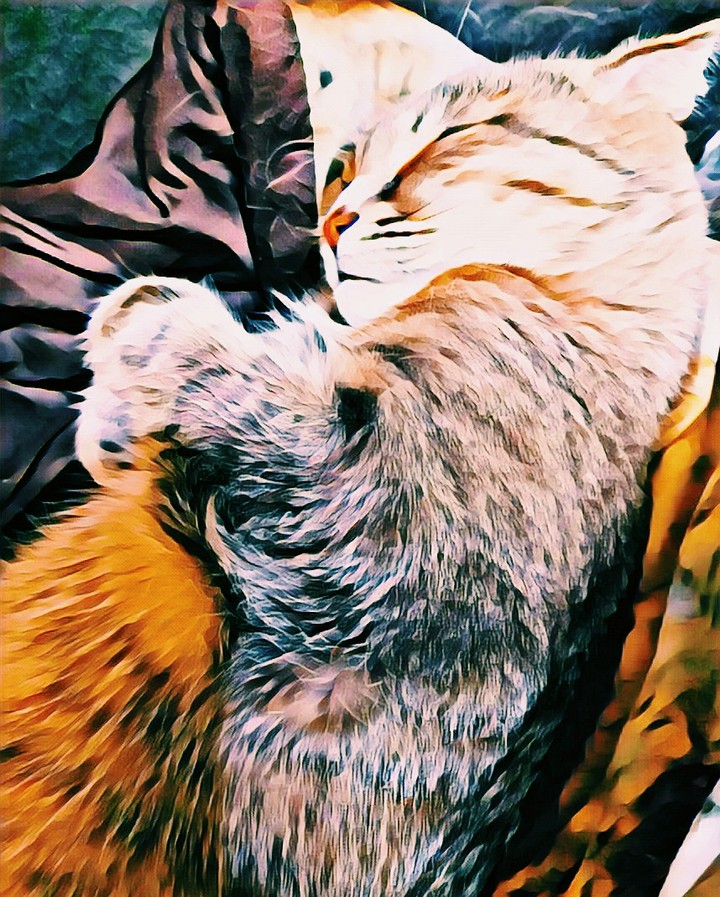 кшися